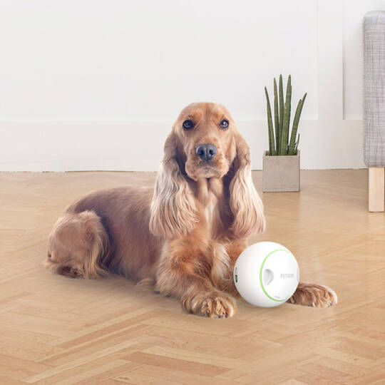 9004 Mama Saklamalı Köpek Oyuncağı - 2