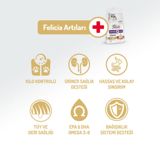 Felicia 12 Kg Kolajenli Somonlu Az Tahıllı Kısırlaştırılmış Kedi Maması  HypoAllergenic Kedi Maması - 2