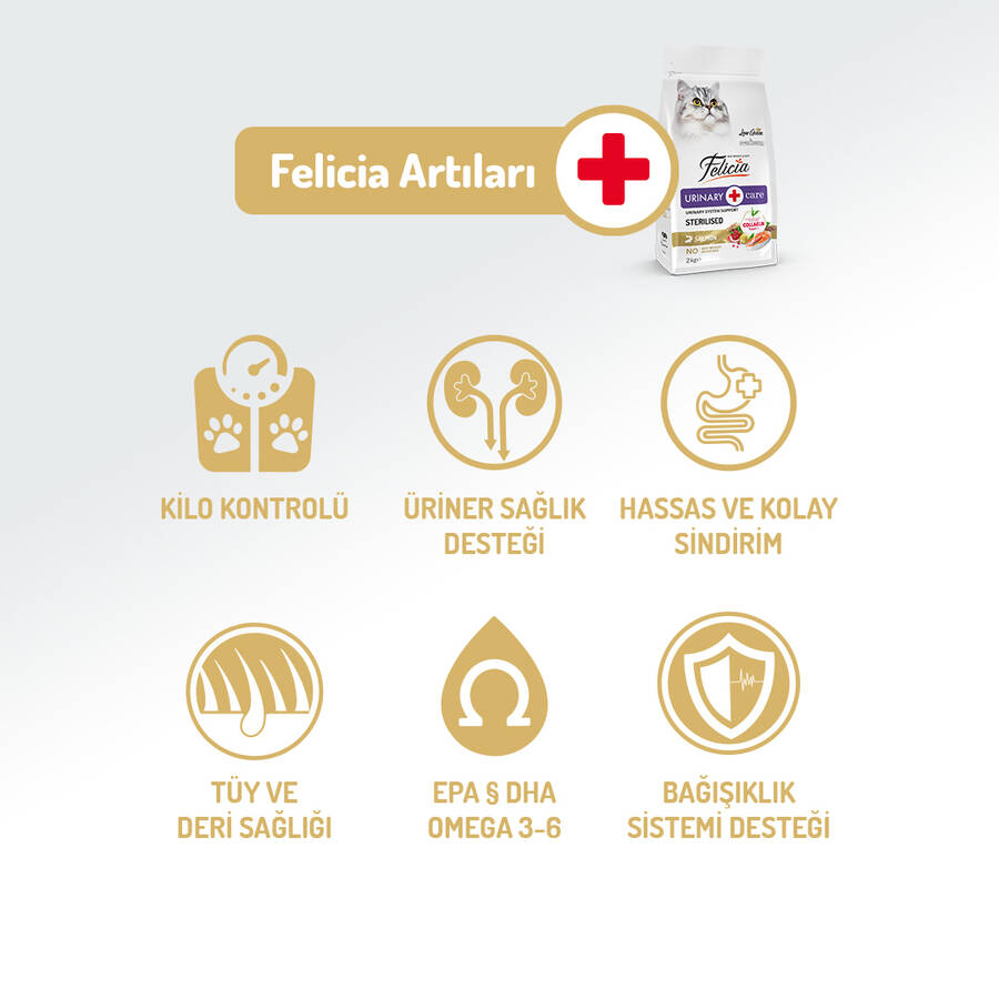 Felicia 12 Kg Kolajenli Somonlu Az Tahıllı Kısırlaştırılmış Kedi Maması  HypoAllergenic Kedi Maması - 2