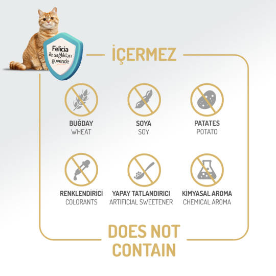 Felicia 12 Kg Kolajenli Somonlu Az Tahıllı Kısırlaştırılmış Kedi Maması  HypoAllergenic Kedi Maması - 4