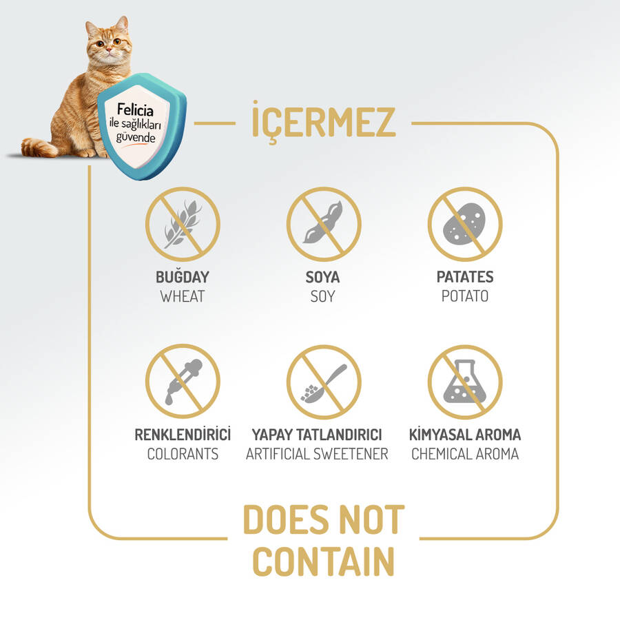 Felicia 12 Kg Kolajenli Somonlu Az Tahıllı Kısırlaştırılmış Kedi Maması  HypoAllergenic Kedi Maması - 4