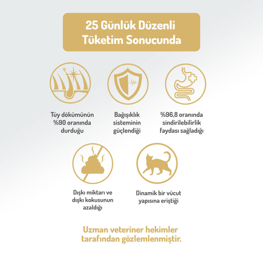 Felicia 12 Kg Kolajenli Somonlu Az Tahıllı Kısırlaştırılmış Kedi Maması  HypoAllergenic Kedi Maması - 5