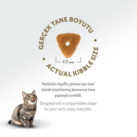 Felicia 12 Kg Kolajenli Somonlu Az Tahıllı Kısırlaştırılmış Kedi Maması  HypoAllergenic Kedi Maması - 7