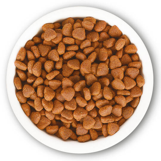 Jungle 1,5 kg-4 Adet Tavuk-Balıklı Yetişkin Kedi M - 2