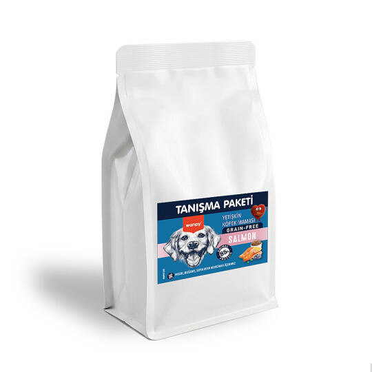 Wanpy Tahılsız Somonlu Yetişkin Köpek Maması 500 gr - 24 Adet - 2