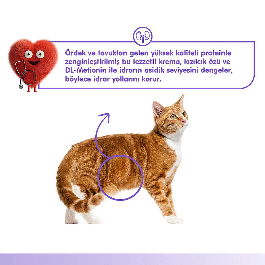 Wanpy Urinary Care Ördek&Tavuk 12'li-F.Krema Ödül 5x14gr - 4